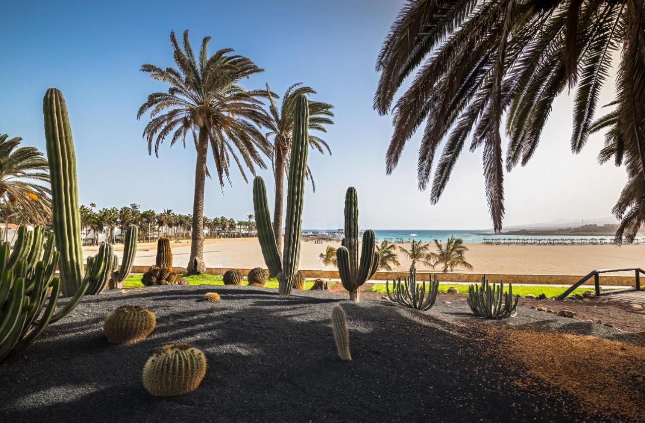 Готель Barcelo Fuerteventura Royal Level - Adults Only Калета-де-Фусте Екстер'єр фото